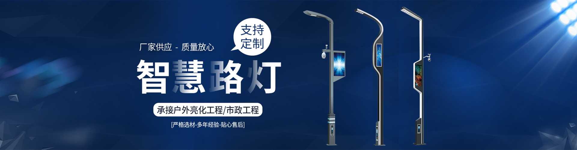 芦山县太阳能路灯定制厂家
