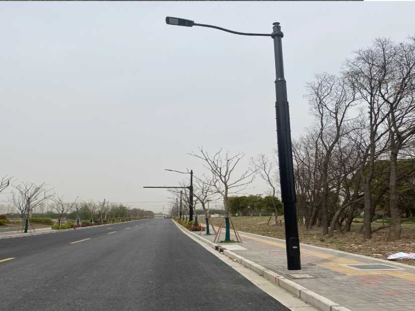 芦山县上海综合杆 太阳能路灯工程